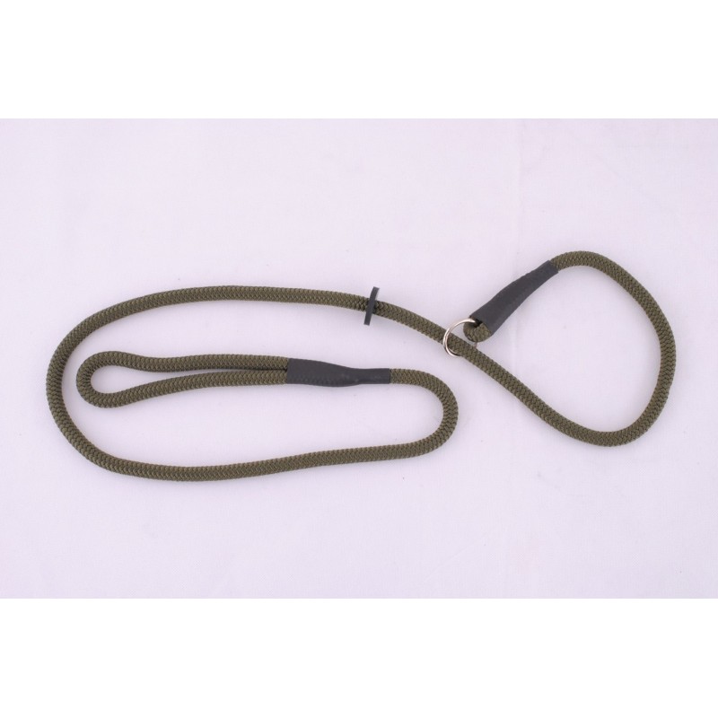 Laisse collier 1m